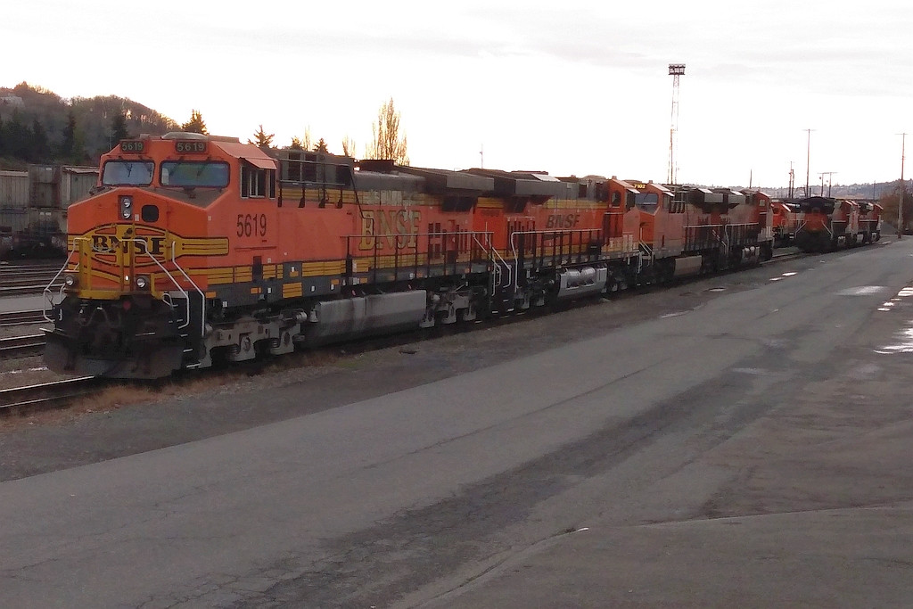 BNSF 5619 & Co